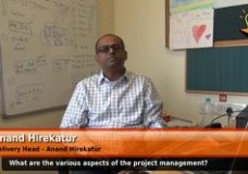 What are the various aspects of the project management? (Delivery Head )